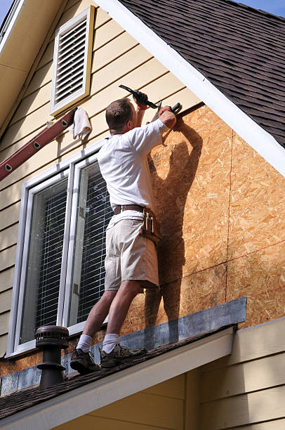 Best Hoarding Cleanup  in Bohemia, NY